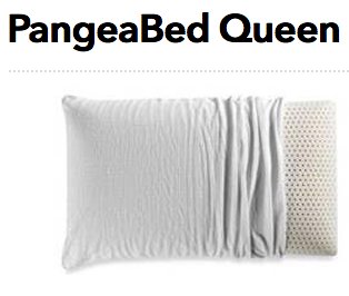 PangeaBed Queen Copper Pillow Giveaway