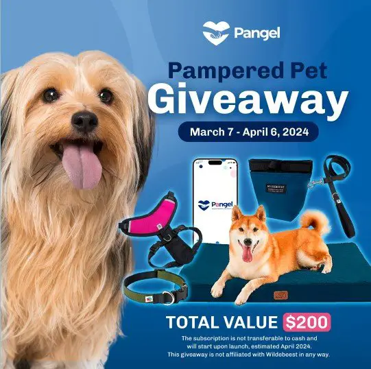Pangel Pampered Pet Giveaway – Win A $200 Pangel Pampered Pet Bundle