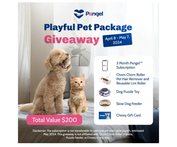 Pangel Playful Pet Package Giveaway - Win Pet Toys & More