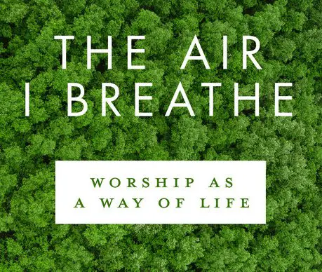 Paperback of THE AIR I BREATHE Sweepstakes