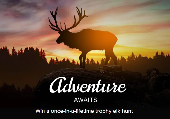 PenFed Win A Once-In-A-Lifetime Trophy Elk Hunt Sweepstakes – Win An $11,000 Guided Trophy Elk Hunt In Northwestern Colorado