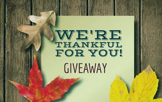 Penske Cars We're Thankful For You Giveaway
