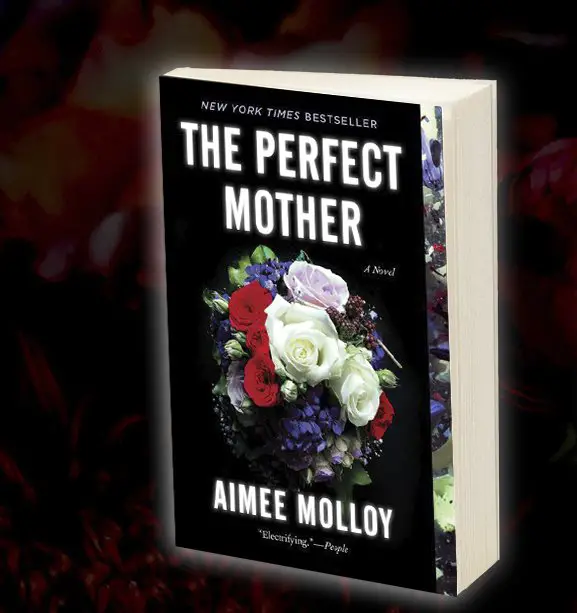 Perfect Mother Sweeps