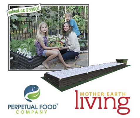 Perpetual Food’s Aquaponic System Giveaway