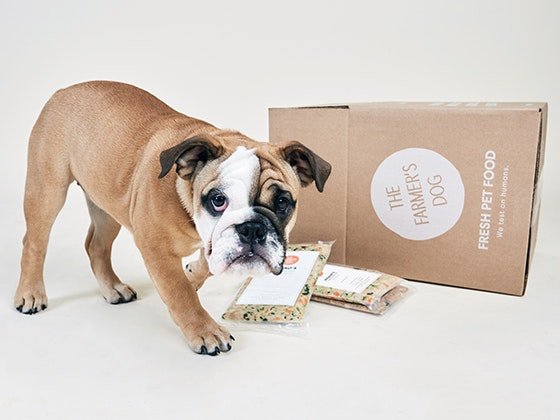 Personalized Dog Food from The Farmer's Dog Sweepstakes