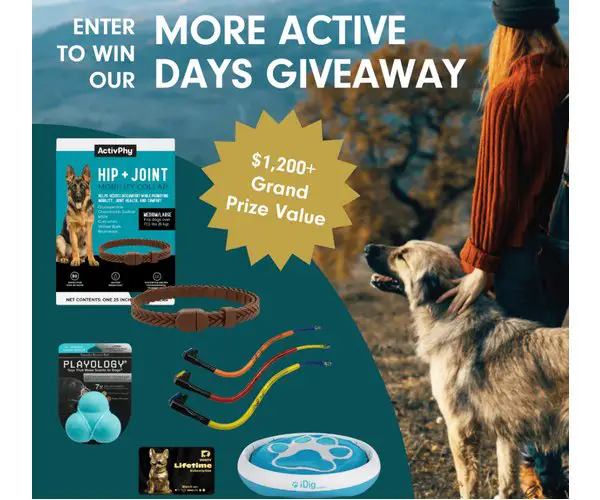 Pet Living with Kristen Levine More Active Days Giveaway - Win Dog Collars, Toys And More