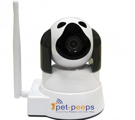 PetCams Modern Dog Giveaway
