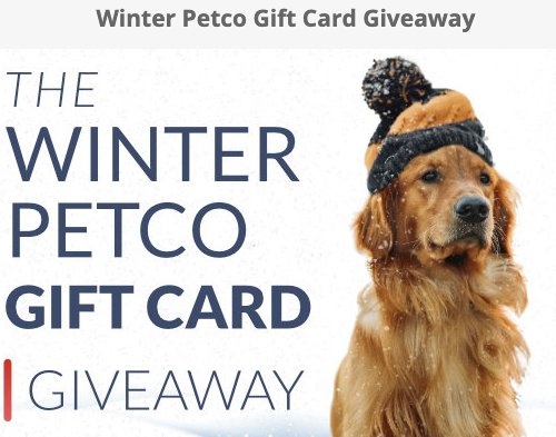Petco $500 Gift Card Giveaway