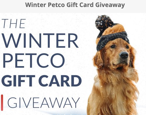 Petco 500 Gift Card Giveaway