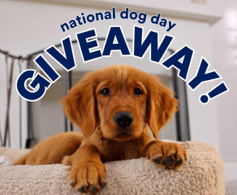 Petco National Dog Day Giveaway - Win a $500 Gift Card