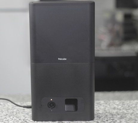 Petcube Bites Giveaway