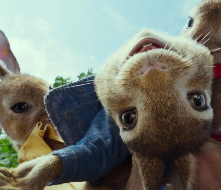 Peter Rabbit Sweepstakes