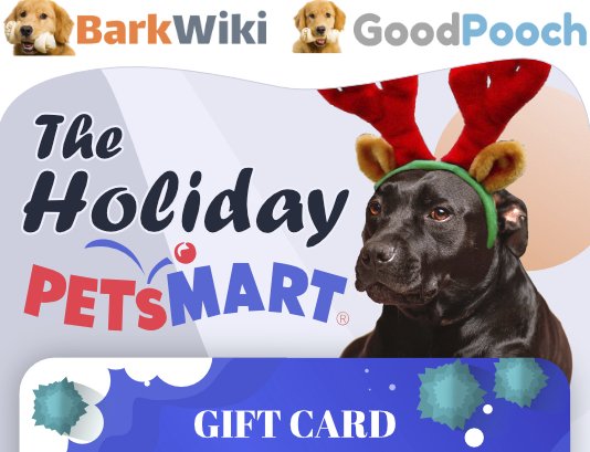PetSmart $500 Gift Card Giveaway