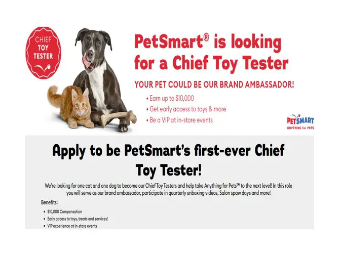 PetSmart Chief Toy Tester Contest – $10,000 + PetSmart “Chief Toy Tester” Contract Up For Grabs!