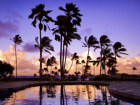 Pick Your Paradise Sweepstakes