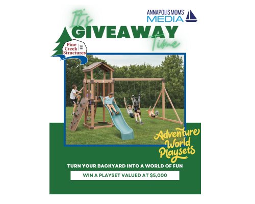 Pine Creek Structures Giveaway - Win A $5,000 Busy Base Camp Play Set