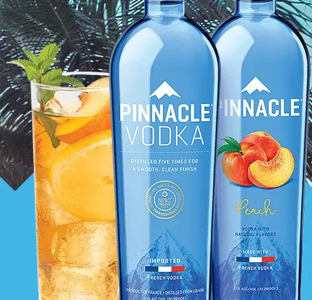 Pinnacle Vodka Summer Program 2017