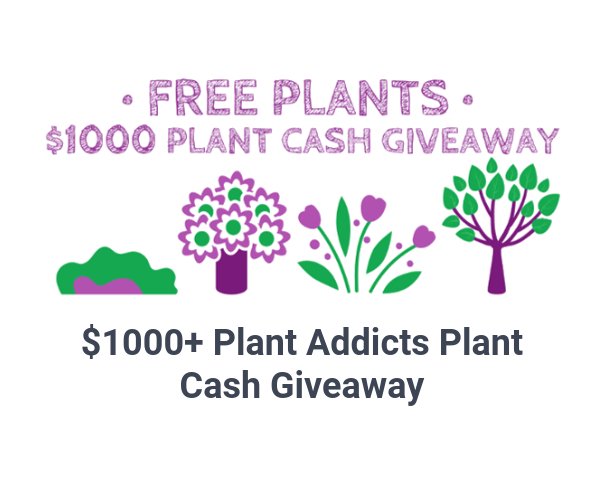 Plant Addicts  $1000+ Plant Cash Giveaway - Win $500 Worth Of Plant Cash Or A Prize Pack