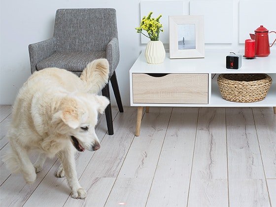 Play Camera Sweepstakes x 2