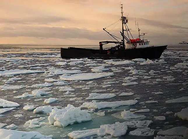 Play the Red Lobster Crabfest Sweepstakes Game!