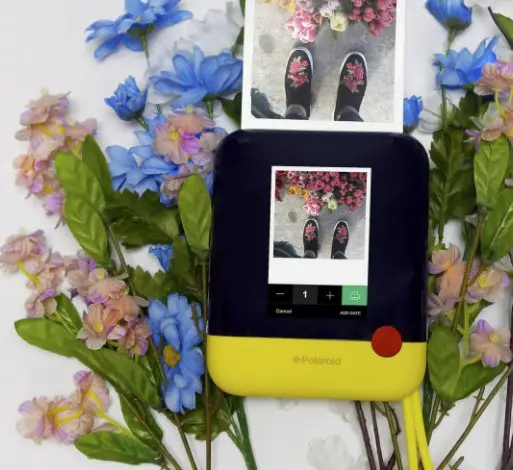 Polaroid Spring It On Sweepstakes