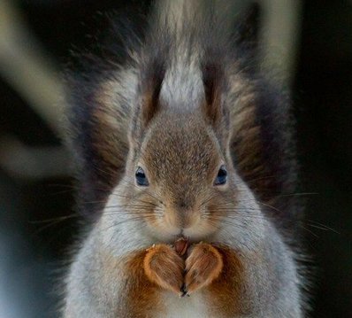 Power Your Passion Sweepstakes