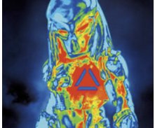 Predator DVD Sweepstakes