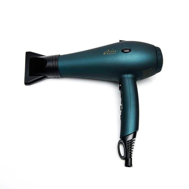 Professional Infrared Ionic Hair Dryer Giveaway