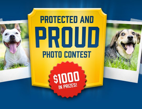 Protected and Proud Photo Contest