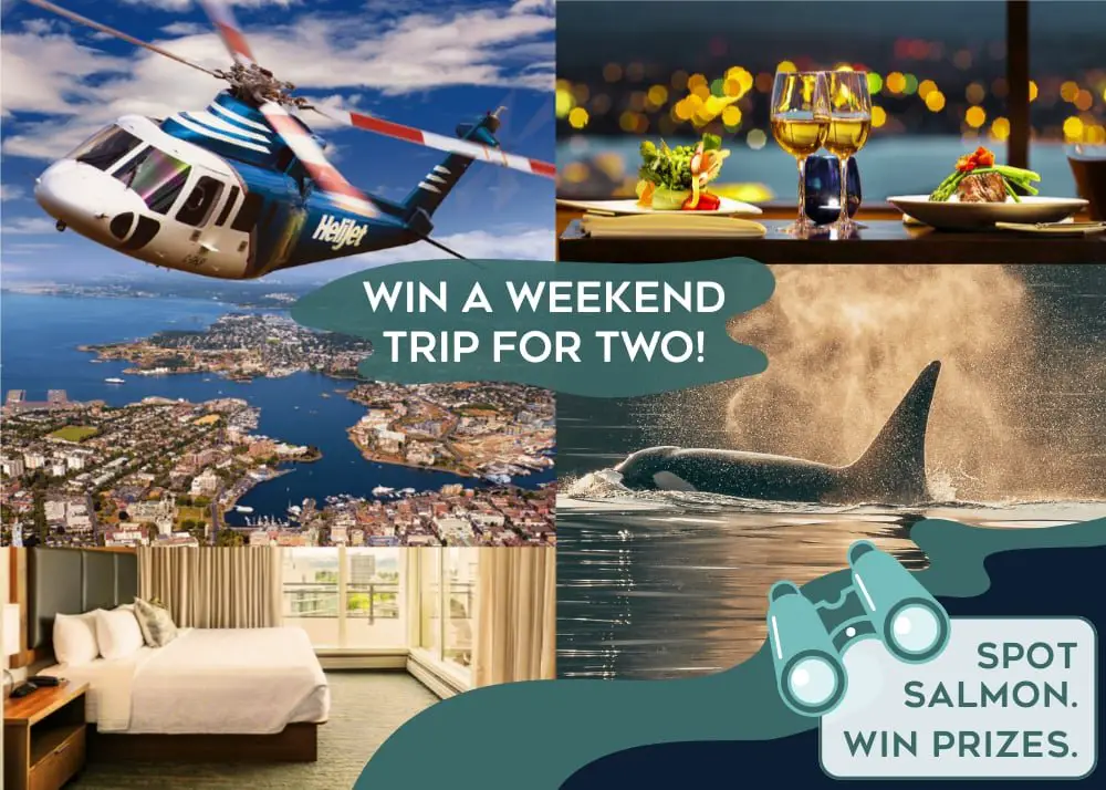 PSF Spot Salmon, Win Prizes! Giveaway - Win A Whale Watching Experience For Two & More