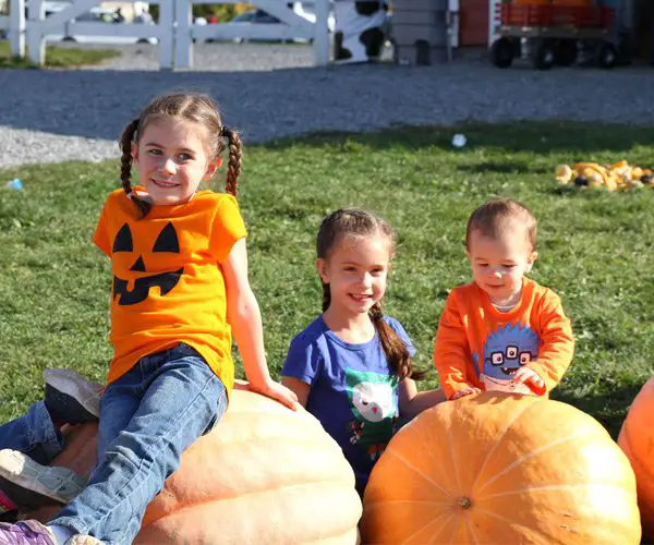 Pumpkins, Donuts, And Family Fun Givevaway