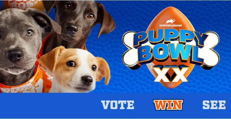 Puppy Bowl Arm & Hammer SLIDE Kitty Halftime Sweepstakes – Win $5,000 Cash