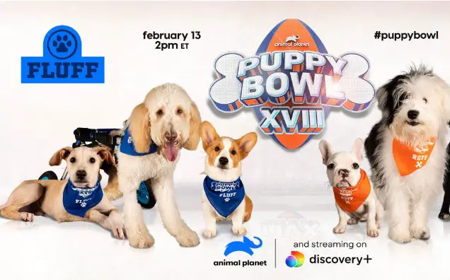 Puppy Bowl Kitty Halftime Sweepstakes – Win $5,000 Cash + 15 Coupons (6 Winners)
