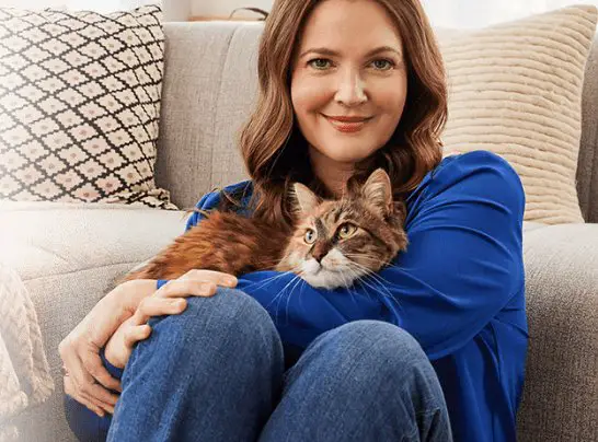 Purina Tidy Care Refresh Contest - Win A $5,000 Walmart Gift Card & More