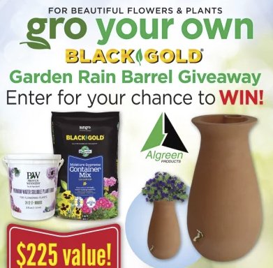 Rain Barrel Garden Giveaway