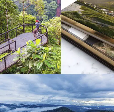 Rainforest Escape Sweepstakes