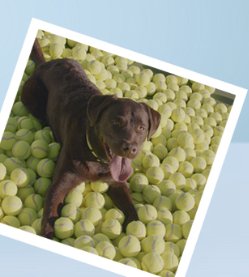 Raw Happiness Giveaway