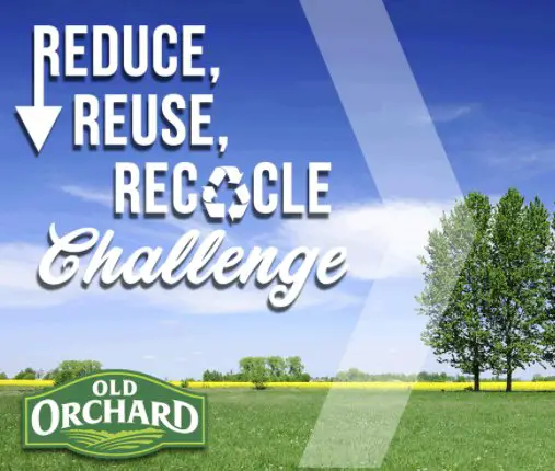 Reduce, Reuse, Recycle Challenge