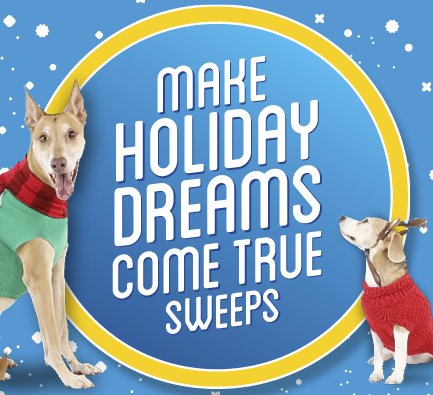 Rent A Center Make Holiday Dreams Come True Sweeps