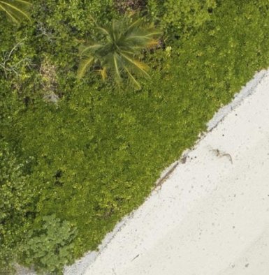 Retreat to the Canary Islands Sweepstakes