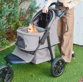 Richell Fall into Fun Sweepstakes - Win a Pet Stroller or Carrier