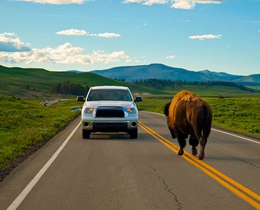 Road Trip To Yellowstone Sweepstakes