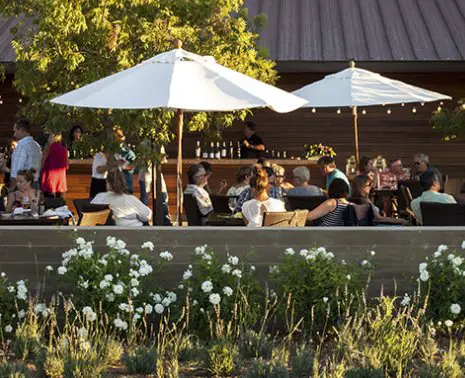 Rodney Strong Sweepstakes