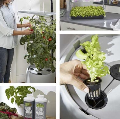 Root Farm Hydro Garden Sweepstakes