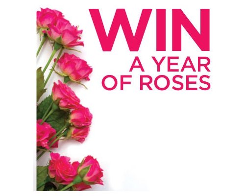Rosa Regale Year Of Roses Mother's Day Sweepstakes - Win One Year Subscription Of Roses (3 Winners)