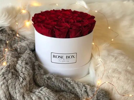 Dozen red longstem roses gift boxed in philadelphia, pa Rose Box NY Sweepstakes