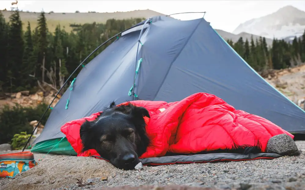 Ruffwear x Big Agnes Giveaway - Win a $1,200 Outdoor Dog Adventure Package