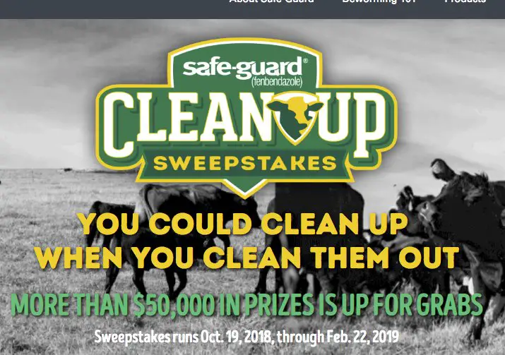 SafeGuard Cleanup Sweepstakes