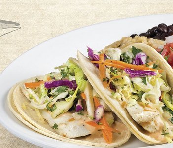 San Diego Gulls Ticket Giveaway