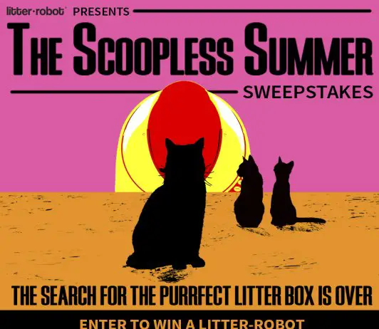 Scoopless Summer Sweepstakes